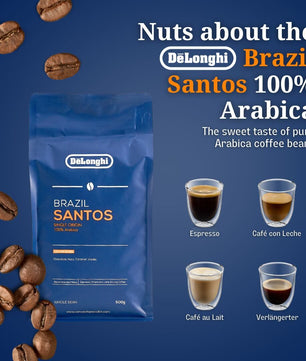 Brazil Santos Coffee Beans 500grams
